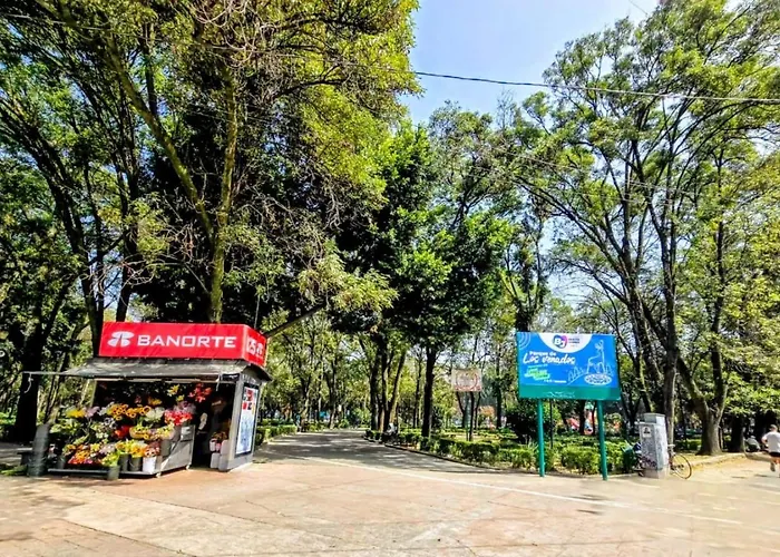 Amarilla Amplia, Iluminada Hasta 6 Viajeros * Mexico City