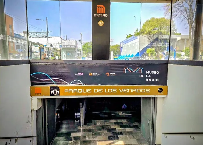 Amarilla Amplia, Iluminada Hasta 6 Viajeros Mexico City